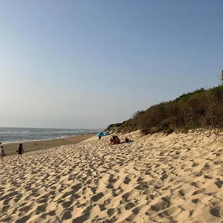 Beautiful Near The Ocean Biscarrosse