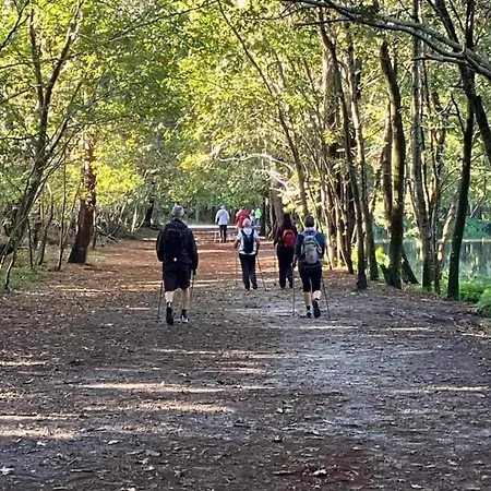 In Biscarosse Near Sandy Apartment *