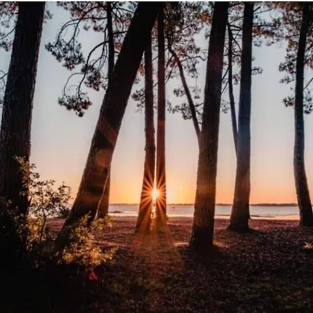 In Biscarosse Near Sandy Apartment Biscarrosse