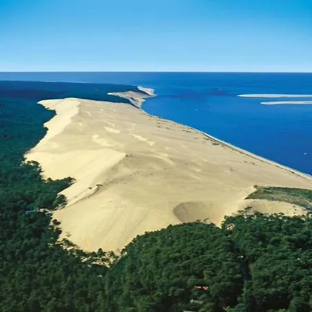 Beautiful Near The Ocean *