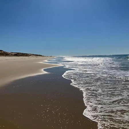 Beautiful Near The Ocean Apartment *