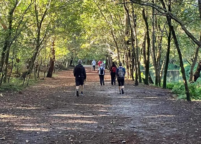 In Biscarosse Near Sandy شقة *